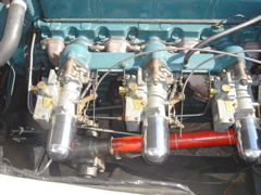 DSC02343.JPG