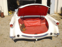 DSC02362.JPG