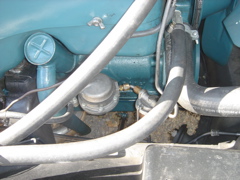 DSC02365.JPG