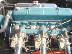 DSC02345.JPG