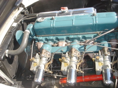 DSC02346.JPG