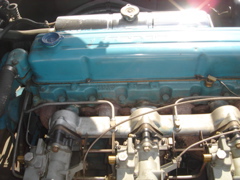DSC02323.JPG