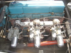DSC02321.JPG