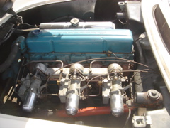 DSC02322.JPG