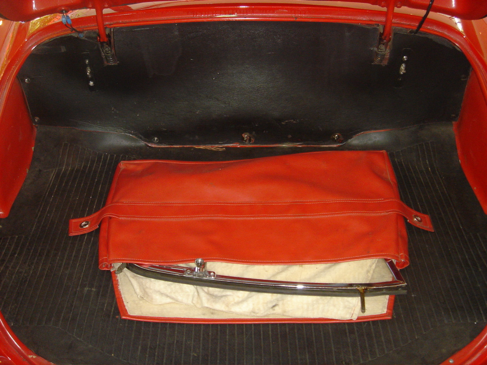 Trunk.JPG