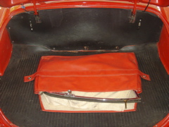 Trunk.JPG