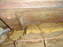 DSC03356.JPG