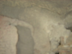 DSC03343.JPG
