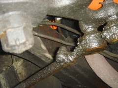 DSC03347.JPG