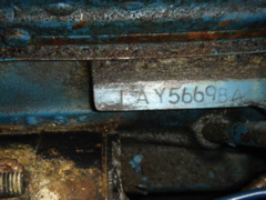 DSC09998